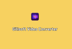 视频格式转换 Gilisoft Video Converter v12.8.0 破解版（附注册机）