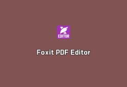 福昕高级编辑器 Foxit PDF Editor Pro v2024.3.0.26795 破解版