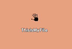 ThisIsMyFile（文件解锁工具）v4.41.0 单文件绿色版