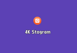 图片和视频下载 4K Stogram v4.9.0.4680 专业许可证绿色版