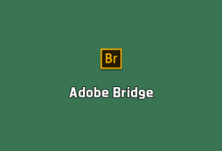 文件管理软件 Adobe Bridge 2024 v14.1.1 破解版