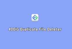 重复文件删除 4DDiG Duplicate File Deleter v3.0.10 绿色破解版