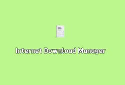 Internet Download Manager（IDM下载器）v6.42.25 直装破解版