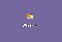 磁盘空间分析工具 WizTree v4.24 绿色免装版