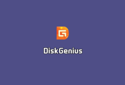 磁盘修复恢复 DiskGenius Professional v5.6.1.1580 专业破解版