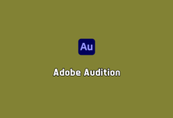 音频编辑软件 Adobe Audition 2024 v24.4.1 中文破解版