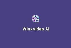 Winxvideo AI（AI图片和视频增强工具）v3.5.0 绿色便捷版