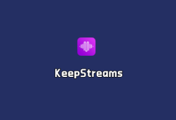 在线视频下载 KeepStreams v1.2.3.1 多语言便捷版