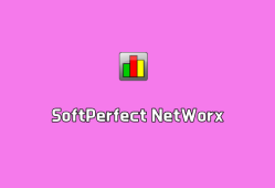 网络流量控制 SoftPerfect NetWorx v7.2.2 绿色免注册版