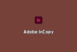 Adobe InCopy（文字协同编辑）v2024 v19.5.0.84 破解版