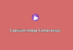 图片体积压缩 Caesium Image Compressor v2.8.3 绿色汉化版