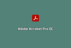 PDF解决方案 Adobe Acrobat Pro DC v2024.003.20554 破解版