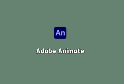 2D动画设计 Adobe Animate 2024 v24.0.4.28 绿色破解版