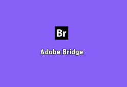 Adobe Bridge 2025（文件资源管理）v15.0.0 中文破解版