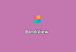 BandiView（班迪看图大师）v7.08.0 多语言破解版